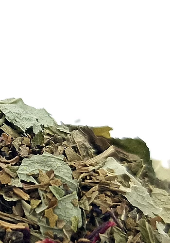 Tante Suzanne - La Fernande 250g - La Fernande - infusion énergisante