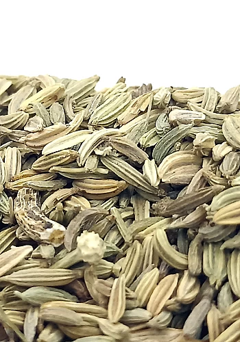 Tante Suzanne - Fenouil 500g - Fenouil - Foeniculum vulgare