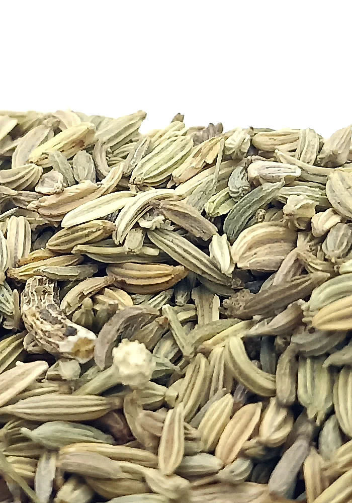 Tante Suzanne - Fenouil 500g - Fenouil - Foeniculum vulgare