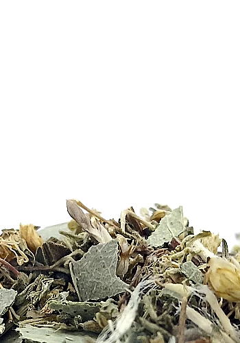 Tante Suzanne - La Désirée 100g - La Désirée - infusion vitalité