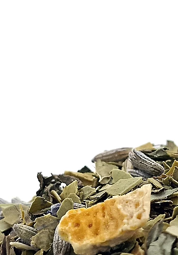Tante Suzanne - La Brigitte 100g - La Brigitte - infusion énergisante