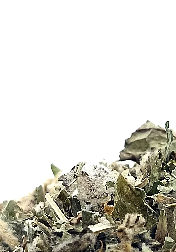 Tante Suzanne - La Manon 100g - La Manon - infusion vitalité