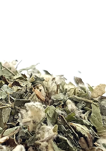 Tante Suzanne - La Manon 250g - La Manon - infusion vitalité