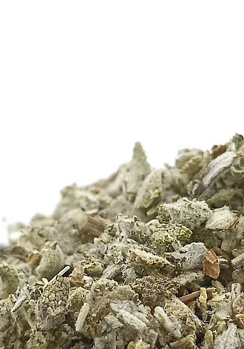 Tante Suzanne - Sauge 250g - Sauge - Salvia Officinalis