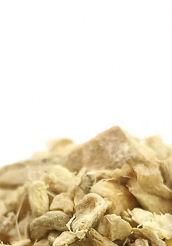 Tante Suzanne - Gingembre 100g - Gingembre - Zingiber officinale