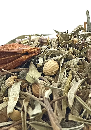 Tante Suzanne - La Mauricette 500g - La Mauricette - infusion digestion