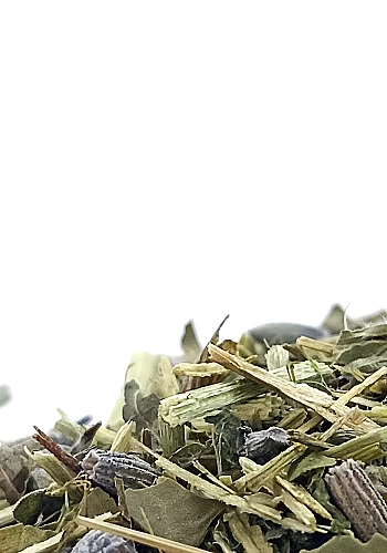 Tante Suzanne - La Madeleine 100g - La Madeleine - infusion sérénité