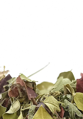 Tante Suzanne - La Ginette 100g - La Ginette - infusion détox