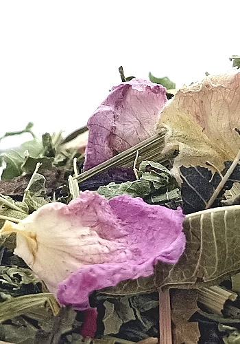 La Gabrielle 500g - piquante et sensuelle
 - Ingrédients: Verveine, hibiscus, citronnelle, menthe poivrée, ortie et rose.
La Gab