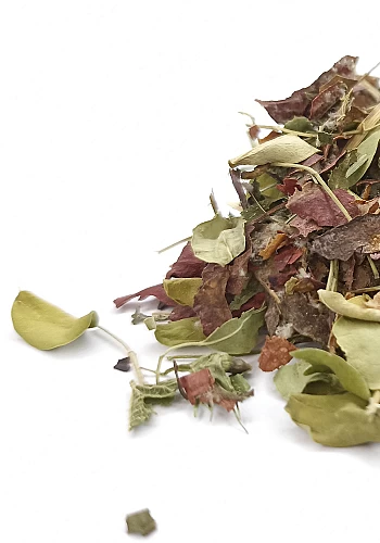 Tante Suzanne - La Ginette 45g - La Ginette - infusion détox