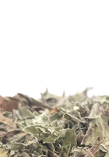 Tante Suzanne - Mélisse 100g - Mélisse - Melissa officinalis