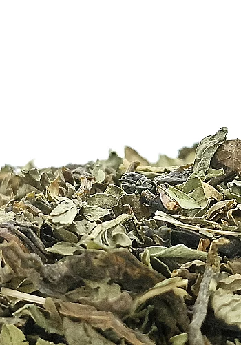 Tante Suzanne - Thé vert au Jasmin & Menthe 250g - Thé vert jasmin et menthe - thé détente
