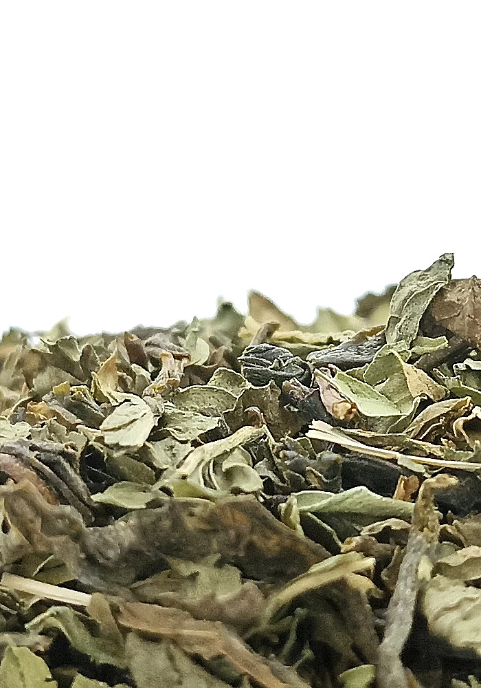 Tante Suzanne - Thé vert au Jasmin & Menthe 250g - Thé vert jasmin et menthe - thé détente