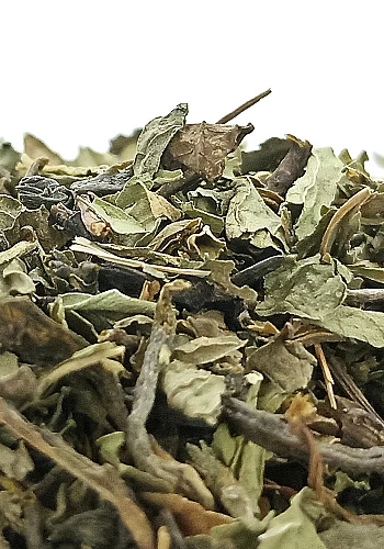 Tante Suzanne - Thé vert au Jasmin & Menthe 500g - Thé vert jasmin et menthe - thé détente