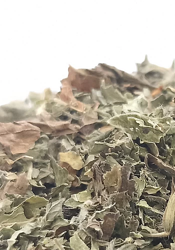 Tante Suzanne - Mélisse 500g - Mélisse - Melissa officinalis