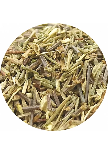 Rooibos vert - (Aspalathus linearis) - 
Plante originaire d'Afrique du sud, elle ne contient pas de théine et peut donc se conso