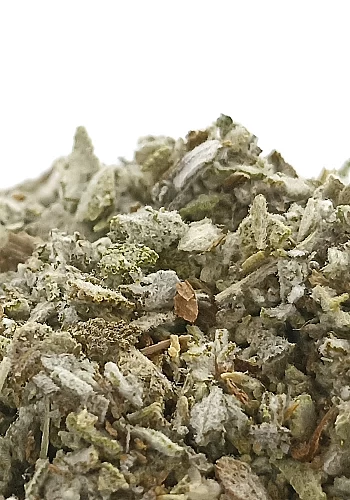 Tante Suzanne - Sauge 500g - Sauge - Salvia Officinalis