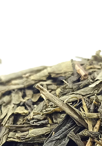 Tante Suzanne - Thé vert Sencha 250g - Thé vert Sencha