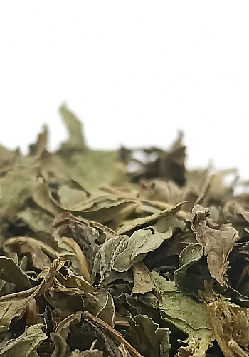 Tante Suzanne - Menthe poivrée 250g - Menthe poivrée - Mentha piperita
