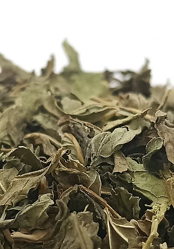 Tante Suzanne - Menthe poivrée 500g - Menthe poivrée - Mentha piperita