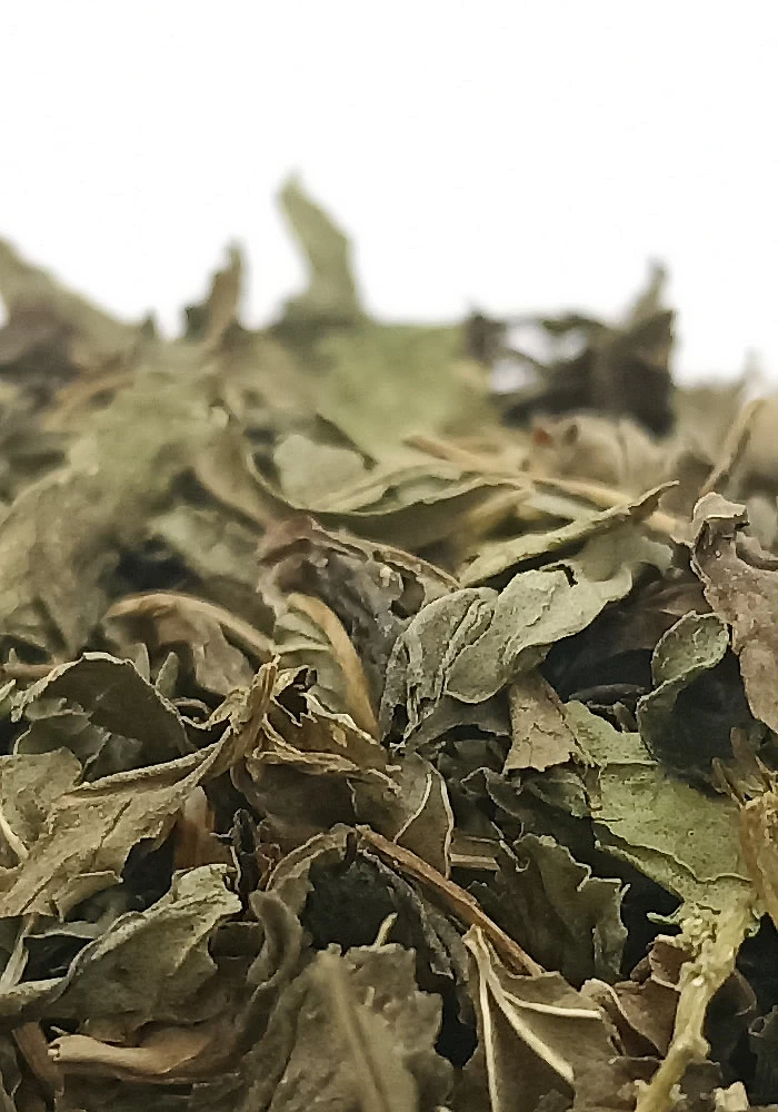 Tante Suzanne - Menthe poivrée 500g - Menthe poivrée - Mentha piperita