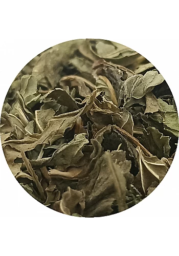 Tante Suzanne - Menthe poivrée - Plantes