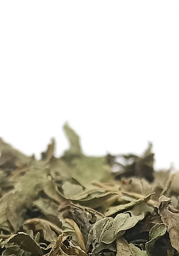 Tante Suzanne - Menthe poivrée 100g - Menthe poivrée - Mentha piperita