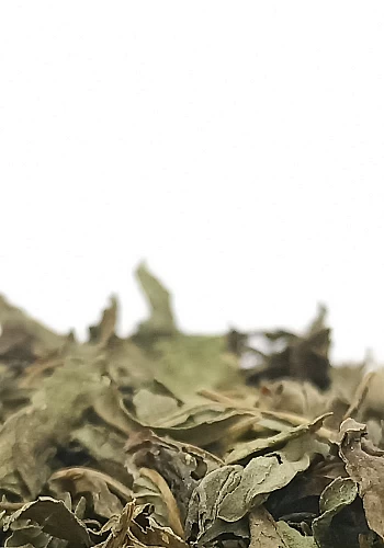 Menthe poivrée 100g - (Mentha piperita) - 
Plante à la saveur douce et tonique, elle se savoure de préférence en journée pour so