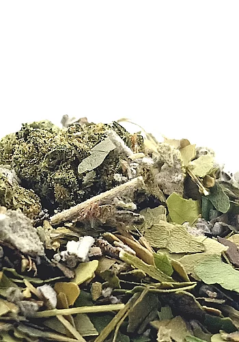 La Shaman 100g - Ingrédients: Guayusa, maté vert, sauge, chanvre et stévia
La Shaman, est une infusion préparée à partir de notr