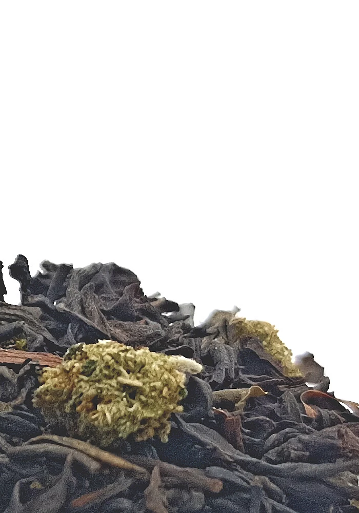 Tante Suzanne - Le Convoi Russe 45g - Le Convoi Russe -  thé et plantes au CBD