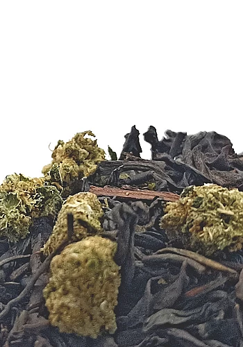 Le Convoi Russe 100g - Ingrédients: Thé noir, Thé Wu Long, Thé Lapsang Souchong et chanvre
Le Convoi Russe, est un thé préparé à