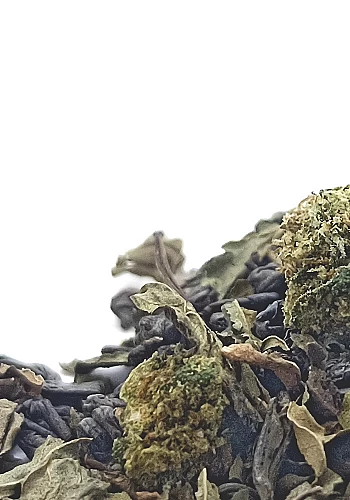 Le Minty 45g - Ingrédients: Thé vert Gunpowder, menthe poivrée, menthe douce et chanvre
Le Minty est un thé préparé à partir de 