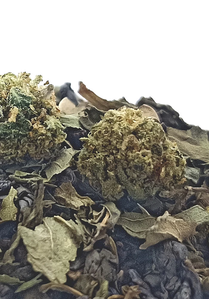 Le Minty 100g - Ingrédients: Thé vert Gunpowder, menthe poivrée, menthe douce et chanvre
Le Minty est un thé préparé à partir de