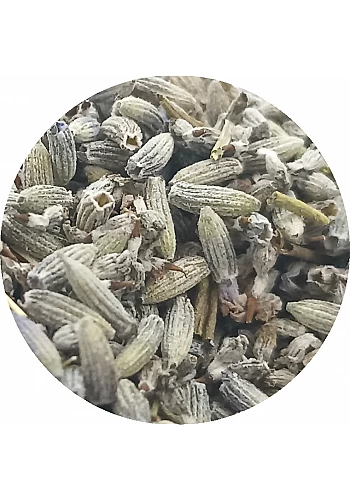 Lavandin - (Lavandula hybrida) - 
Plante aromatique à l'odeur caractéristique et aux notes camphrées, plus douce que la lavande.