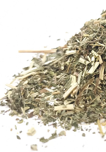 Tante Suzanne - Reine des prés 45g - Reine des près - Filipendula ulmaria