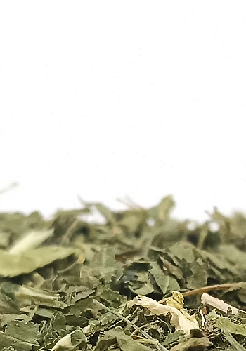 Tante Suzanne - Ortie 100g - Ortie - Urtica dioica