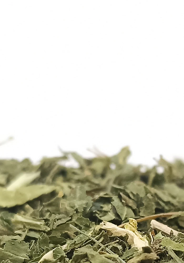 Tante Suzanne - Ortie 100g - Ortie - Urtica dioica