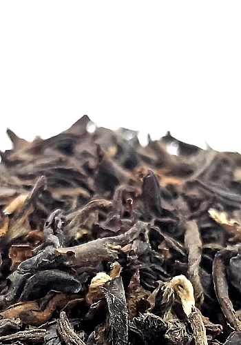 Thé Darjeeling 250g - Un grand classique du thé noir, exclusivement cultivé dans la région de Darjeeling en Inde. Un thé rond et