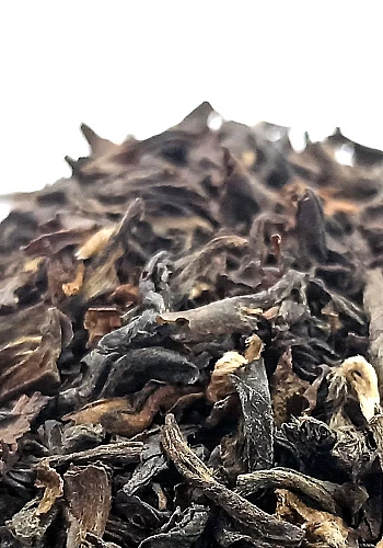Thé Darjeeling 500g - Un grand classique du thé noir, exclusivement cultivé dans la région de Darjeeling en Inde. Un thé rond et