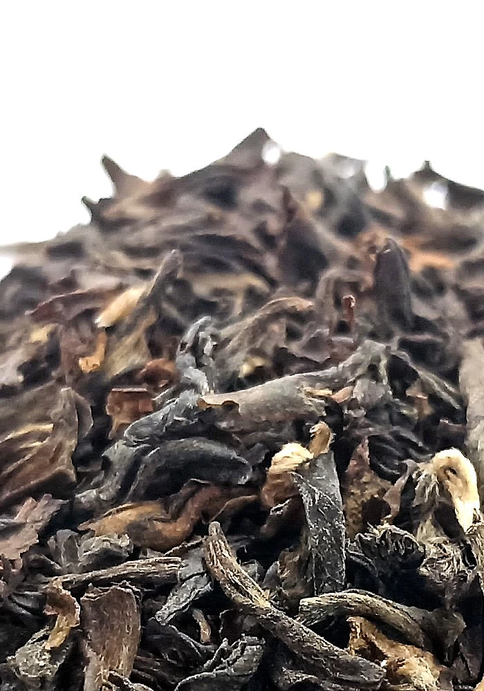 Thé Darjeeling 500g - Un grand classique du thé noir, exclusivement cultivé dans la région de Darjeeling en Inde. Un thé rond et