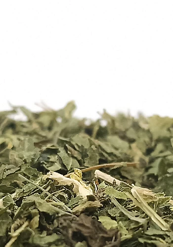 Tante Suzanne - Ortie 250g - Ortie - Urtica dioica