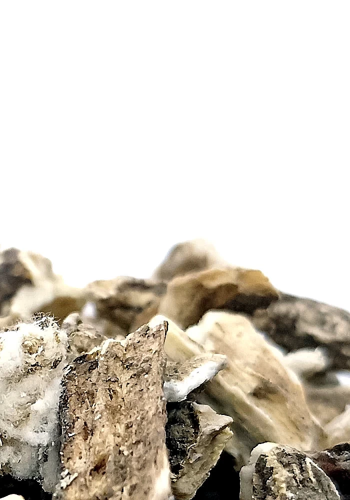 Bardane 100g - (Arctium lappa) - 
Racine à la saveur légèrement amère, elle est employée pour détoxifier l'organisme et prévenir