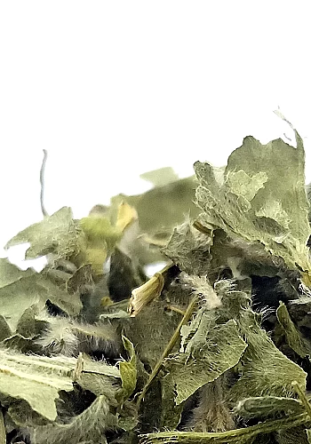 Alchémille 250g - (Alchemilla Vulgaris) 
Plantes des climats froid savoureuse et parfumée, elle est conseillée en cas de règles 