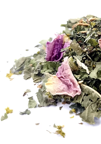 Tante Suzanne - La Renata 45g - La Renata - infusion détox