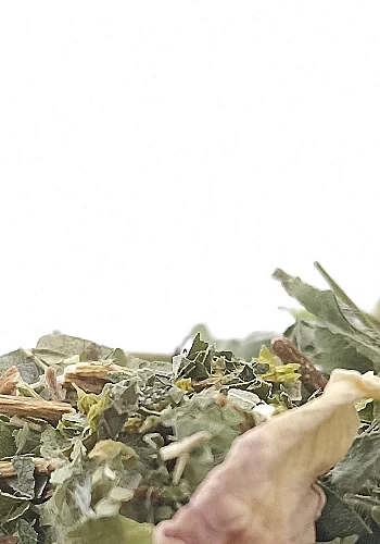 Tante Suzanne - La Renata 100g - La Renata - infusion détox