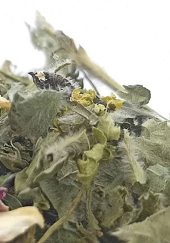 Tante Suzanne - La Renata 500g - La Renata - infusion détox