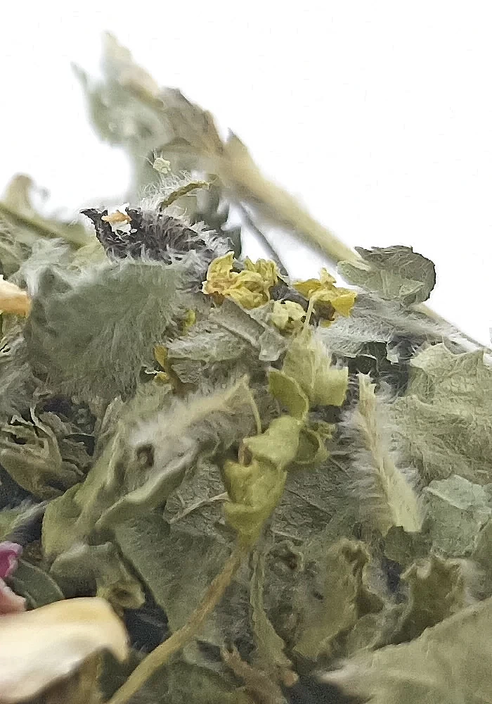 Tante Suzanne - La Renata 500g - La Renata - infusion détox