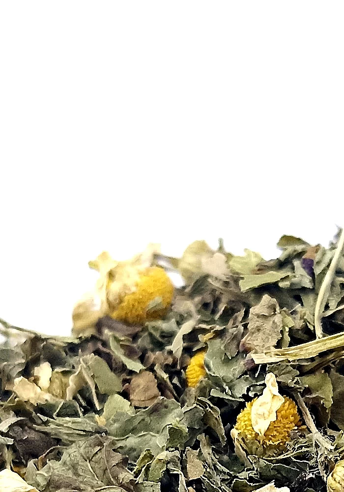 Tante Suzanne - La Frida 100g - La Frida - infusion digestion