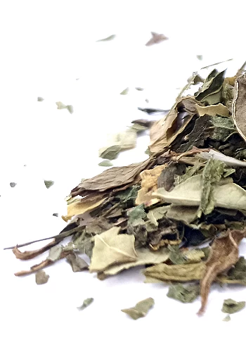 Tante Suzanne - La Philomène 45g - La Philomène - infusion vitalité