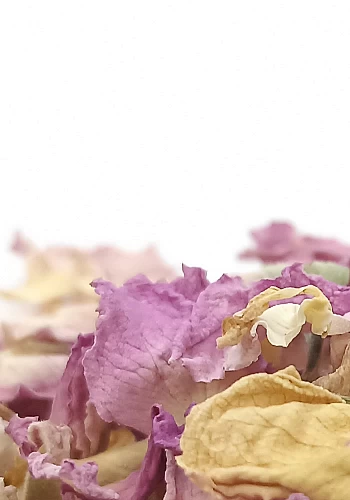 Tante Suzanne - Rose (pétales) 100g - Rose - Rosa damascena